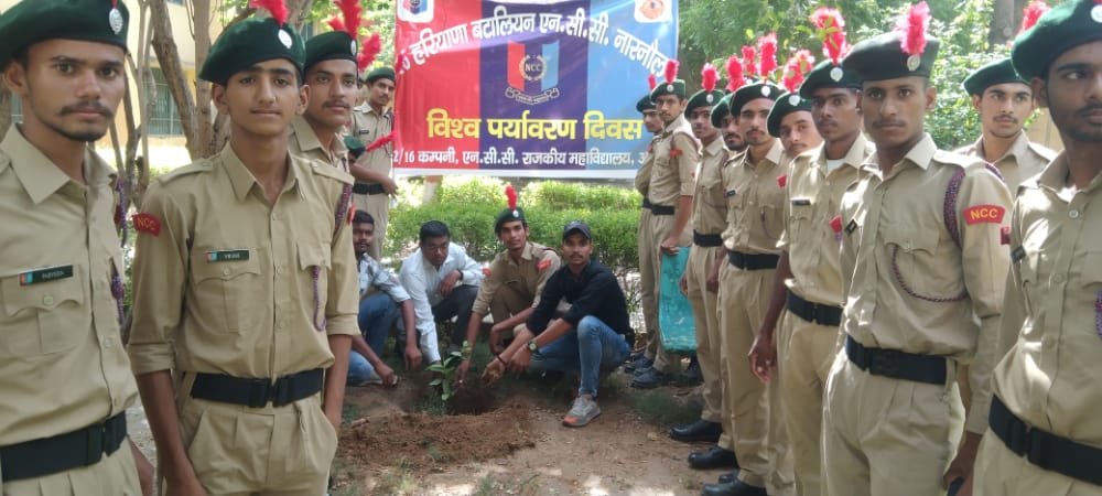College Banner 3